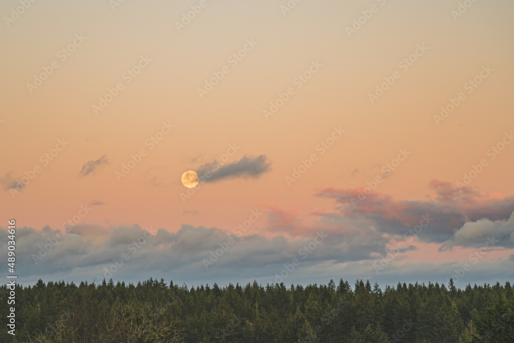 Dramatic Evening sky with yellow moon rising over forest County scene 