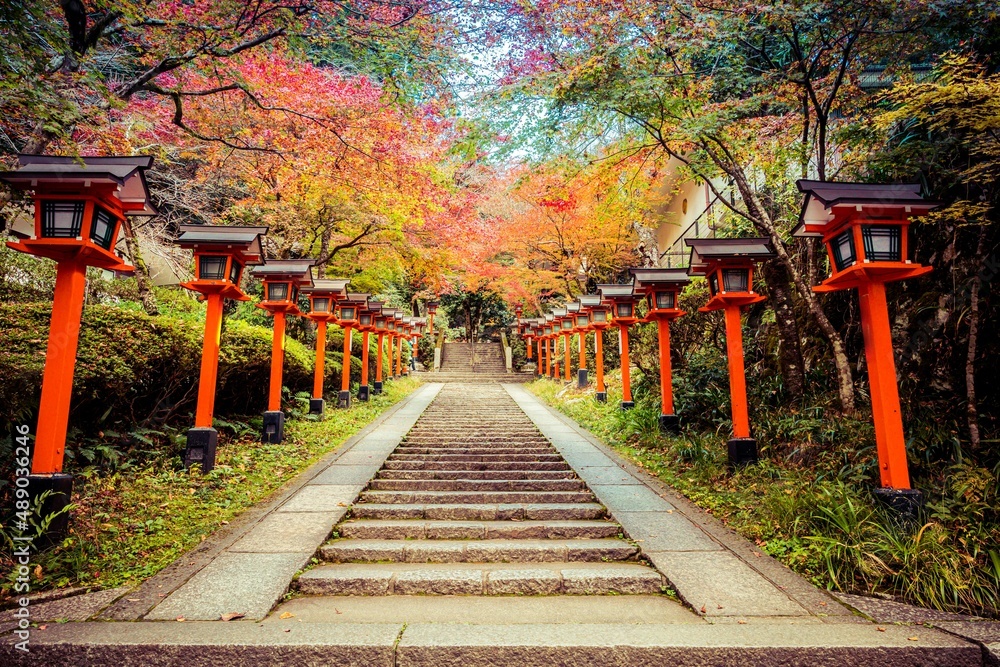 A lantern lined path with stairs leading up the the Kurama-dere Temple north of Kyoto, Japan on a fall morning.