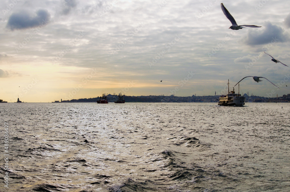 Fototapeta premium Panoramic landscape view of Istanbul Bosphorus city view with ancient The Maiden's Tower on horizon against cloudy autumn sky. Travel and tourism landscape