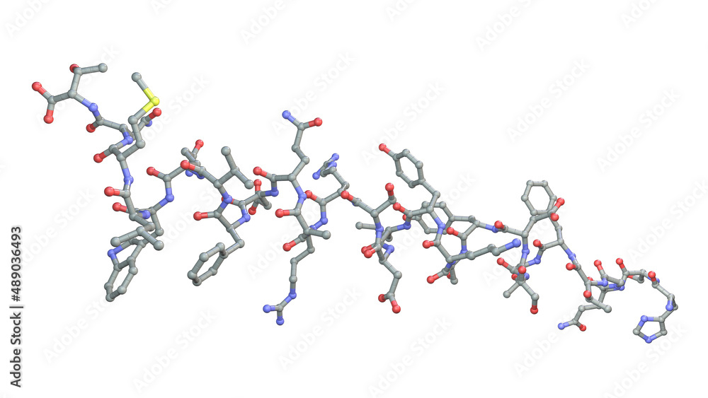Molecule of the human hormone glucagon Molecule of the human hormone glucagon