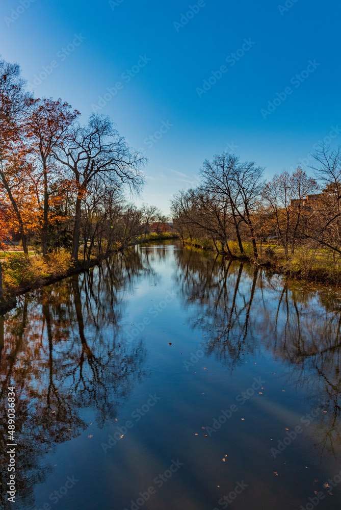 reflection in the water