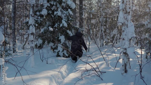 A girl in winter in a black down jacket and a gray hat went into the depths of the forest on a snowdrift, shook a branch at the Christmas tree and walked back through the snowdrif photo