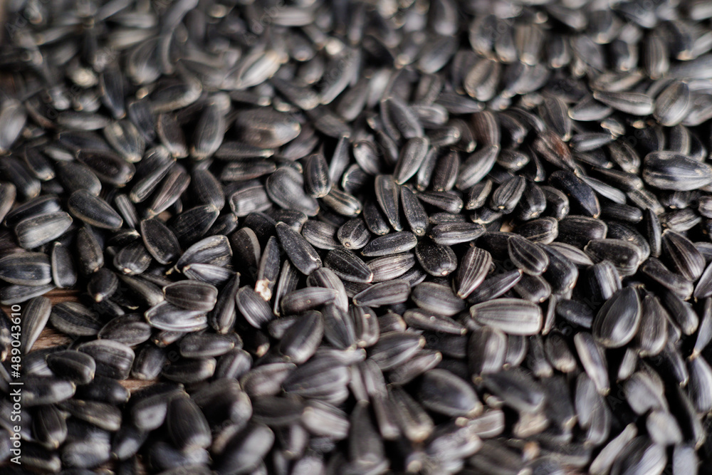 Sunflower seeds, back ground or texture, high detail Sunflower seeds, back ground or texture, high detail