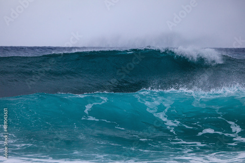 big hawaiian surf on oahu