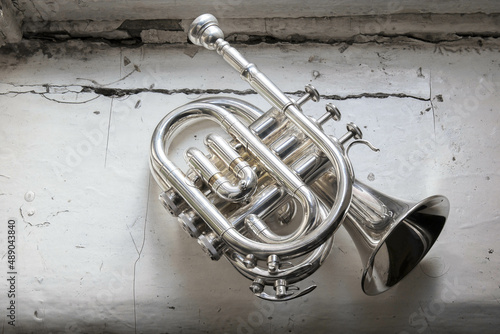 brass trumpet piccolo