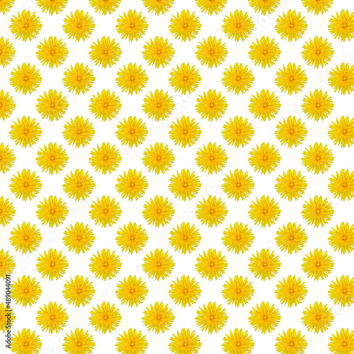 Seamless pattern - dandelions isolated on a white background.