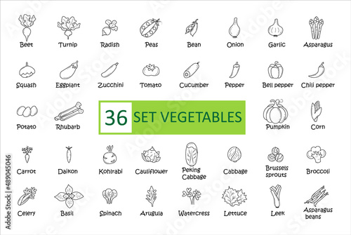 Vegetables icon set. Simple concise images of vegetables with names. Collection of icons in outlines. Vegetarianism. Beets, daikon, onions, carrots, corn and others. Vector, eps 