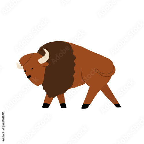 Cute hand-drawn American Buffalo, South America wild bull, bison animal. Cartoon vector isolated illustration.