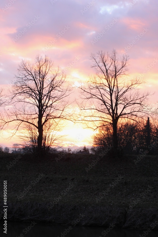 Sunset behind the trees