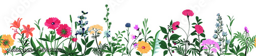 Horizontal white banner or floral background decorated with gorgeous multicolored blooming flowers and leaf border. Spring botanical vector illustration on white background
