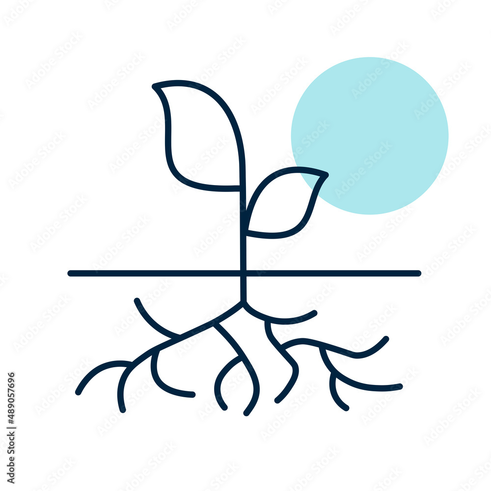 Young green plant with strong roots visible icon Young green plant with strong roots visible icon