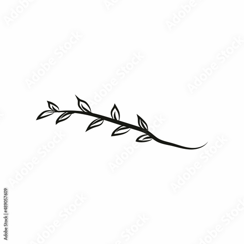 Leaf logo design  vector natural concept inspiration  leaf icon. Leaves