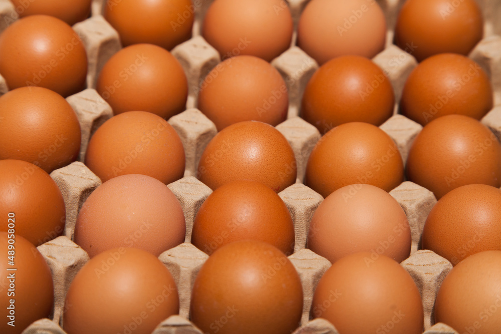 Brown chicken eggs are in a cardboard tray. Brown chicken eggs are in a cardboard tray.