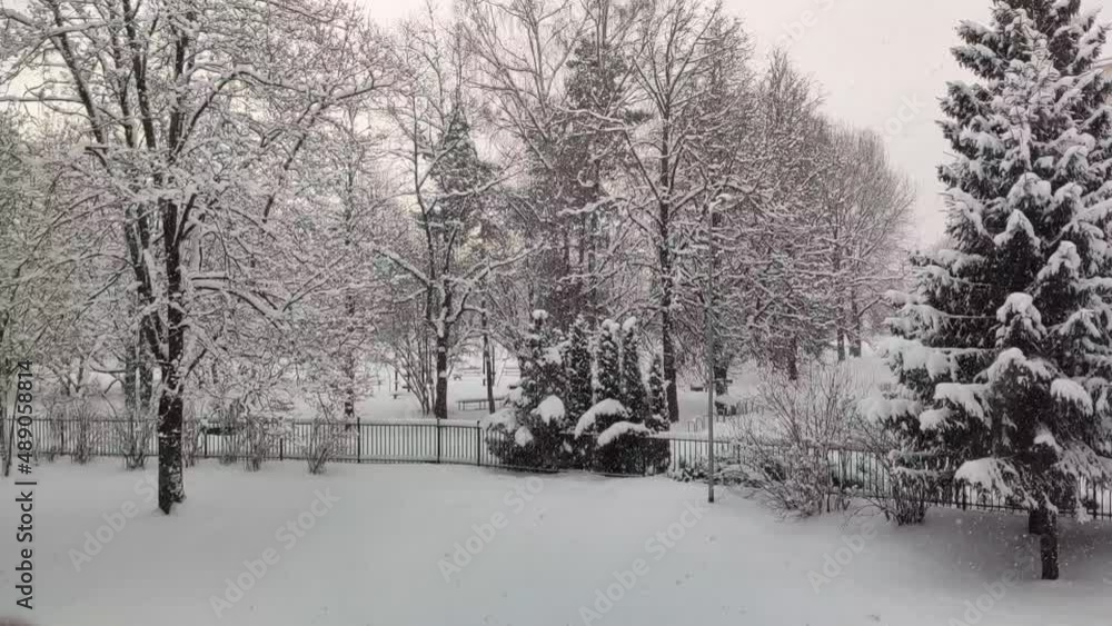 Snow-covered trees in an urban park. Winter landscape. Snow-covered trees in an urban park. Winter landscape.
