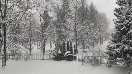 Wallpaper Mural Snow-covered trees in an urban park. Winter landscape.  Torontodigital.ca