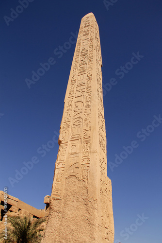 Egypt Tour, Luxor, January 2022