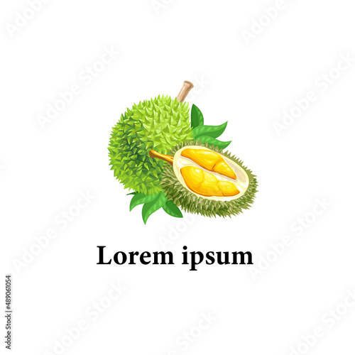 TEMPLATE ASIAN durian fruits logo BUSSINES template design vector