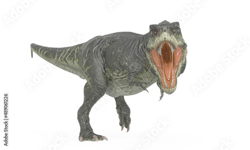 tyrannosaurus rex is mad in white background © DM7