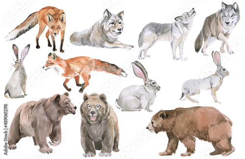 Hand drawn forest animals. Wild animals on a white background. Hare, bear, deer, roe deer, owl, fox, wolf. For cards, stickers, posters, planners, scrapbooking 