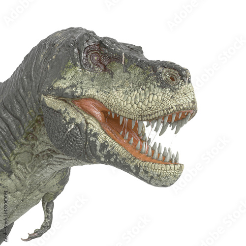 id portrait of a tyrannosaurus rex in white background © DM7