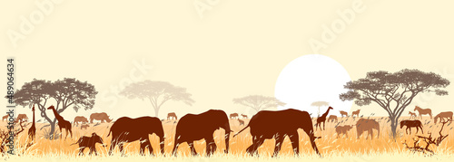Savannah landscape with animals and trees. Silhouettes of wild animals of the African savanna, against the background of trees and the sun
