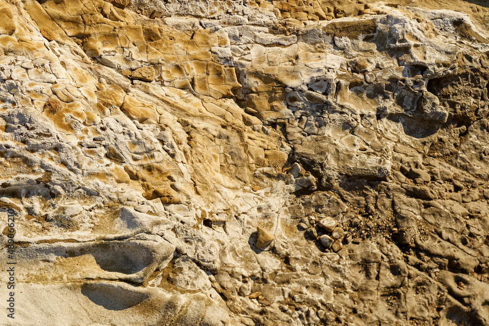 Beach Rock Surface