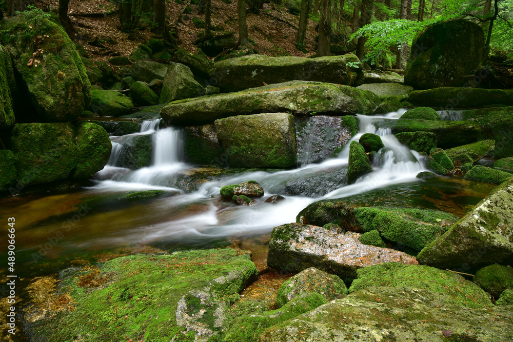 Jedlova waterfall, Jedlove, Jedlovy dul nature reserve Jedlova waterfall, Jedlove, Jedlovy dul nature reserve