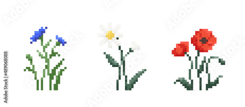 Set of Pixel art flowers. Vintage 90s gaming 8 bit icon of red poppy, chamomile and knapweed flowers. Vector pixel filed and wild flowers for game and print