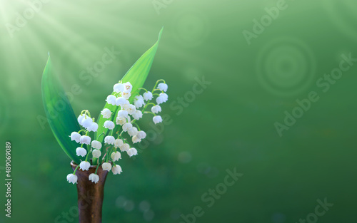 Lily of the valley bouquet in vase isolated on green. photo