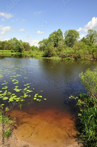 Beautiful and calm river on a sunny day