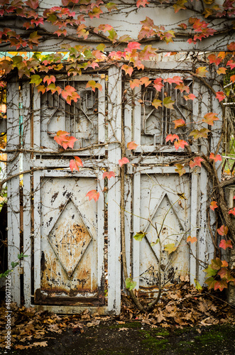 old rusty door