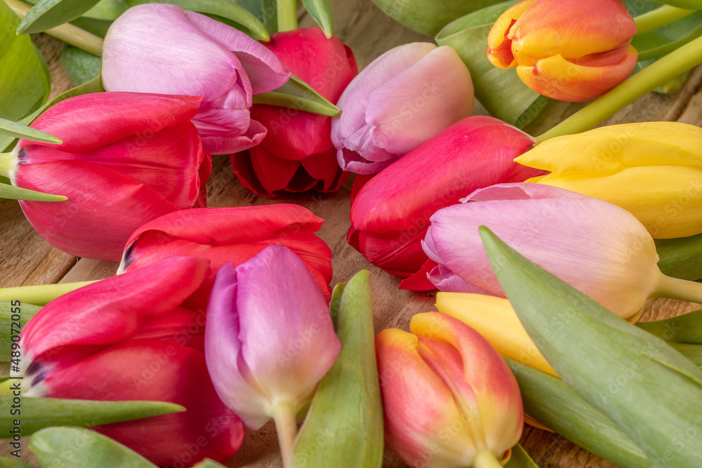 Yellow ,red and pink tulips isolated over a black background Yellow ,red and pink tulips isolated over a black background
