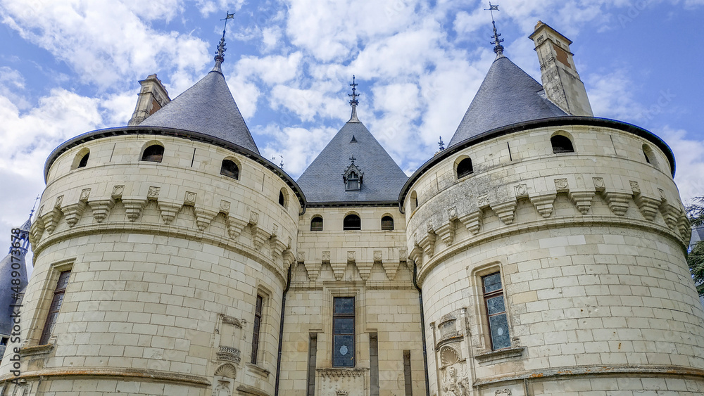 Château médiéval et son entrée avec tours dans le pays de la Loire en France