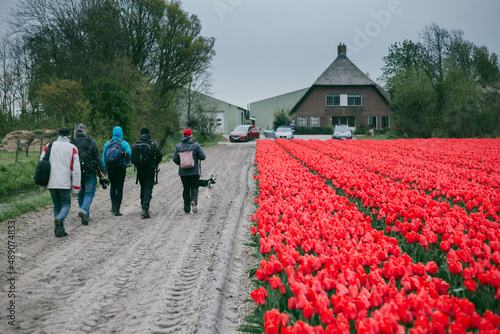 Holland fields photo