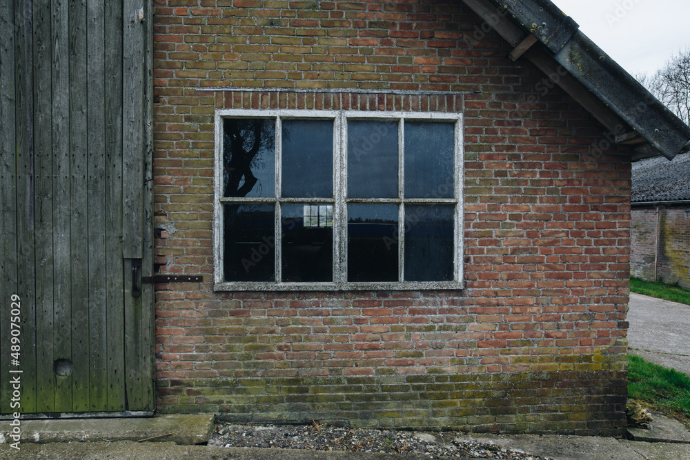 Window