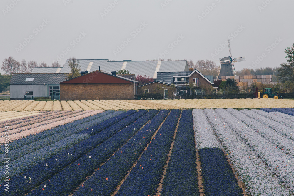 Holland