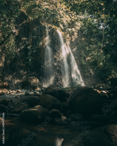 Waterfall in forest jungle