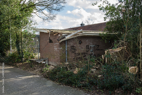 tree blown on an old shed in storm eunice