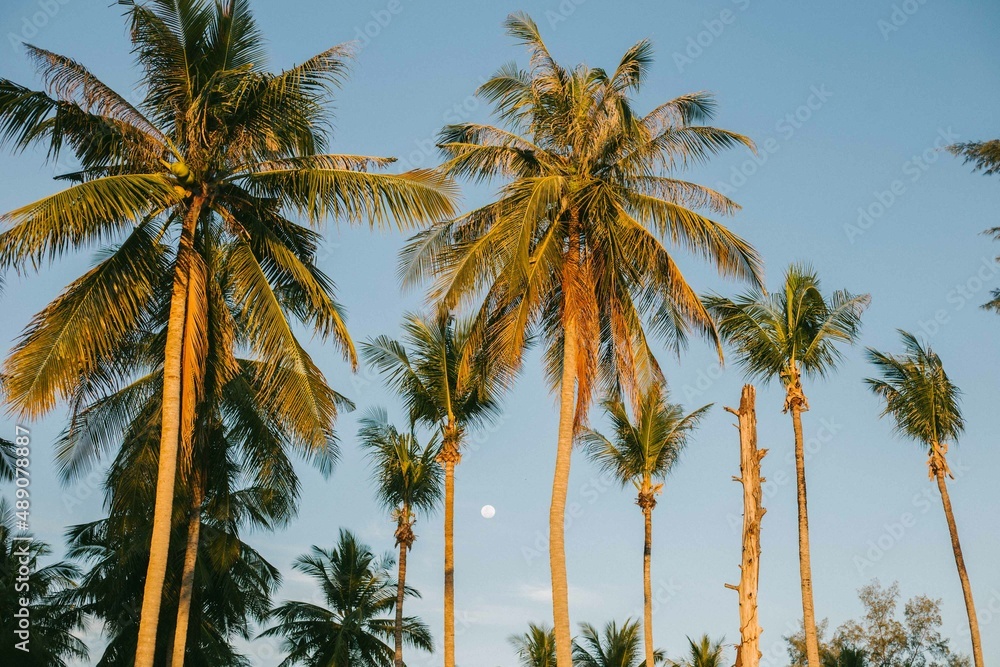 Krabi, Tajlandia