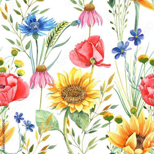 Sunflowers summer seamless pattern. Wild flowers.  Isolated elements on a white background. Hand painted in watercolor.  © Evgeniia