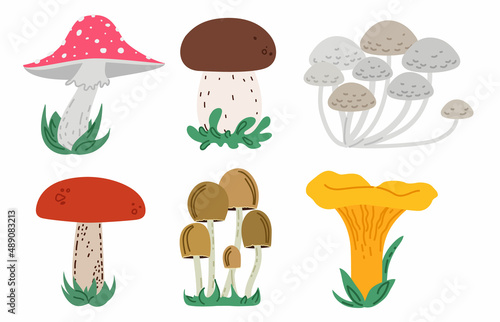 set of different cartoon mushrooms isolated on white background. Elements for design