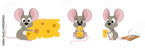 Vector illustration cute and beautiful mouse on white background. Charming character in different poses sitting with a big cheese, and stealing from a mousetrap in cartoon style.