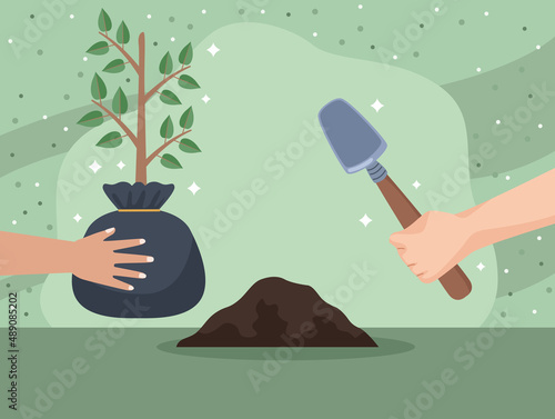 hands planting tree