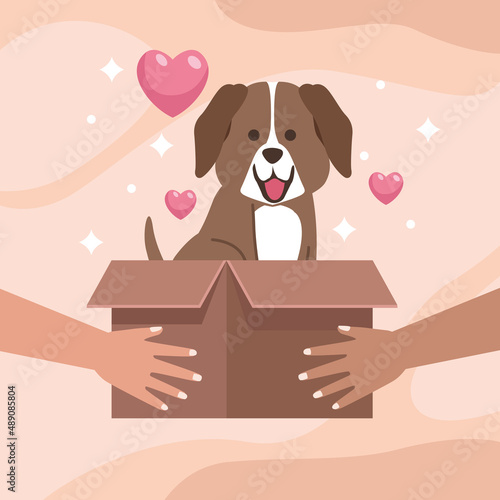 hands adopting dog