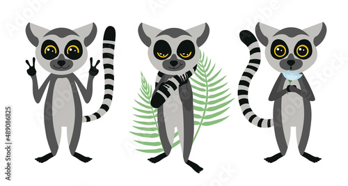 Vector illustration cute and beautiful lemur on white background. Charming character in different poses satisfied, stands cute with a flower and fern leaves in the hands in cartoon style.