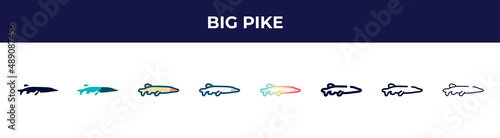 big pike icon in 8 styles. line, filled, glyph, thin outline, colorful, stroke and gradient styles, big pike vector sign. symbol, logo illustration. different style icons set.
