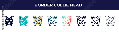 border collie head icon in 8 styles. line, filled, glyph, thin outline, colorful, stroke and gradient styles, border collie head vector sign. symbol, logo illustration. different style icons set.