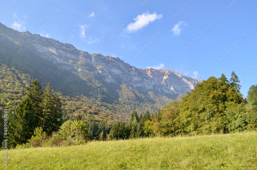 alpine meadow in the mountains alpine meadow in the mountains