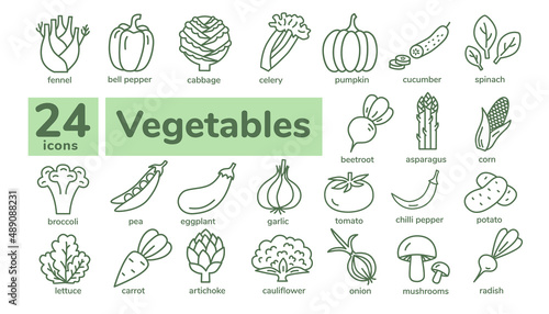 Set of vegetables icons © Anastasia Izofatova