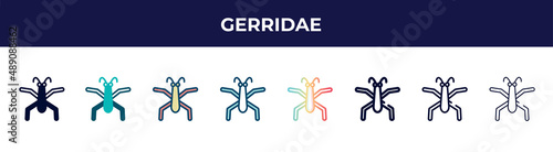 gerridae icon in 8 styles. line, filled, glyph, thin outline, colorful, stroke and gradient styles, gerridae vector sign. symbol, logo illustration. different style icons set.